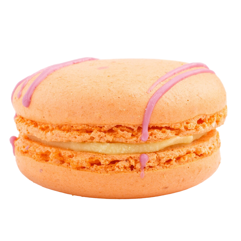 Macarons-BakeryBees